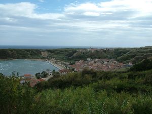 Susak