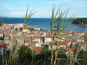 Susak