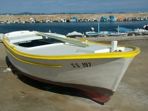 Susak