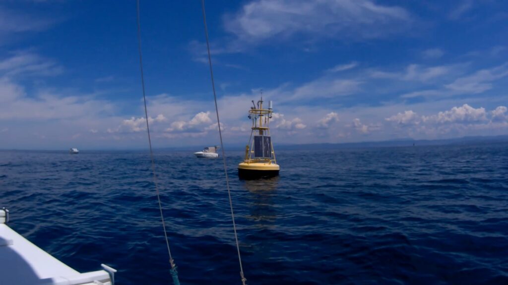 Naughty catamaran crew